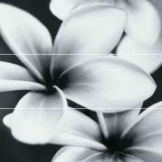 Flower Composition - obkládačka inzerto set 75x75