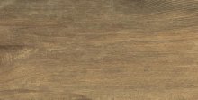 Derby elm - dlažba 31x62 béžová mat