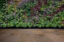 Trail Porfido Mix - dlažba 20x30 hnědá