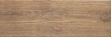 Ashwood/Alberon Umbra Natural Struktura - dlaždice 20x60 hnědá