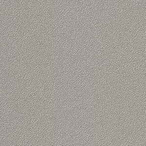 Taurus Granit (76 SMR Nordic) - dlaždice 20x20 šedá, R12 B