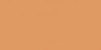 Color One (RAL 0607050) - obkládačka 20x40 oranžová matná