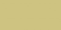 Color One (RAL 0908040) - obkládačka 20x40 žlutá matná