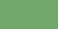 Color One (RAL 1306050) - obkládačka 20x40 zelená matná