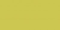 Color One (RAL 0958070) - obkládačka 20x40 žlutozelená lesklá
