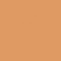 Color One (RAL 0607050) - obkládačka 20x20 oranžová lesklá