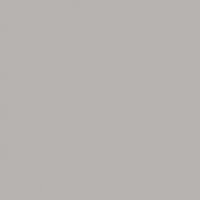 Color One (RAL 0607005) - obkládačka 15x15 šedá lesklá