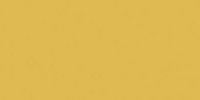 Color Two (RAL 0858070) - dlaždice 10x20 žlutá matná, mrazuvzdorná