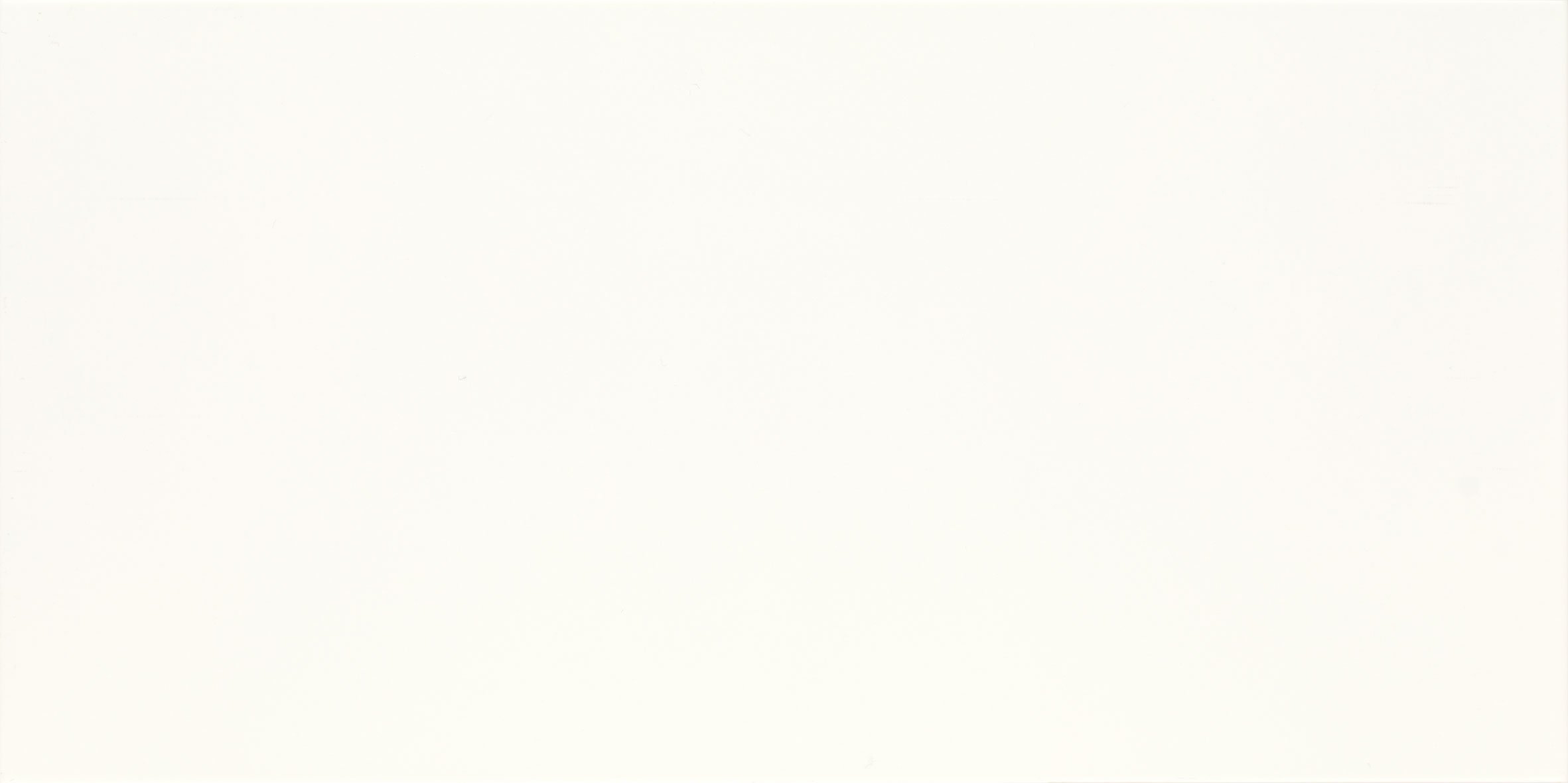 Fiori bianco - obkládačka 30x60 bílá 157977