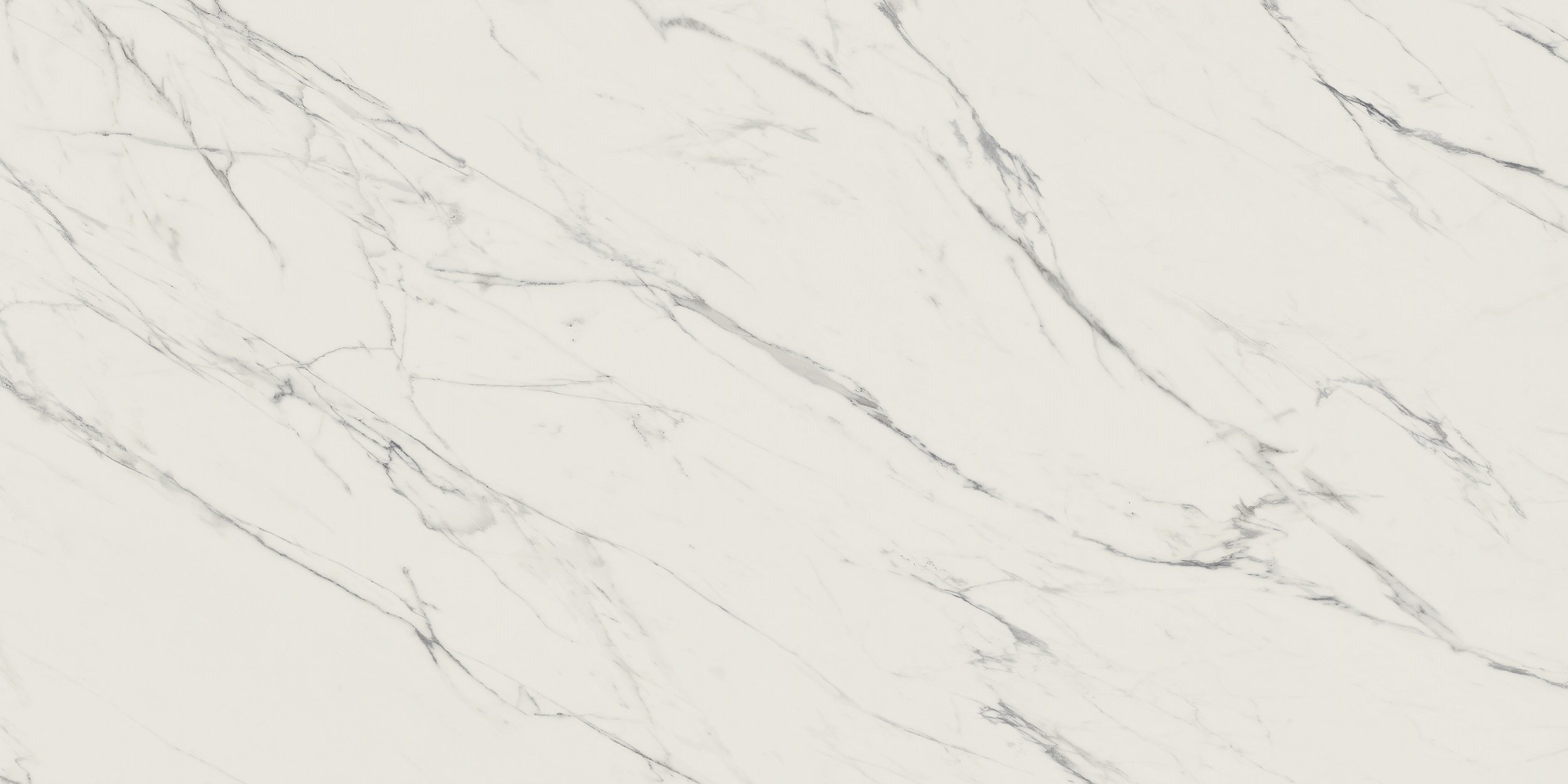 Náhled Elite white rekt. mat. - dlaždice rektifikovaná 59,8x119,8 bílá matná