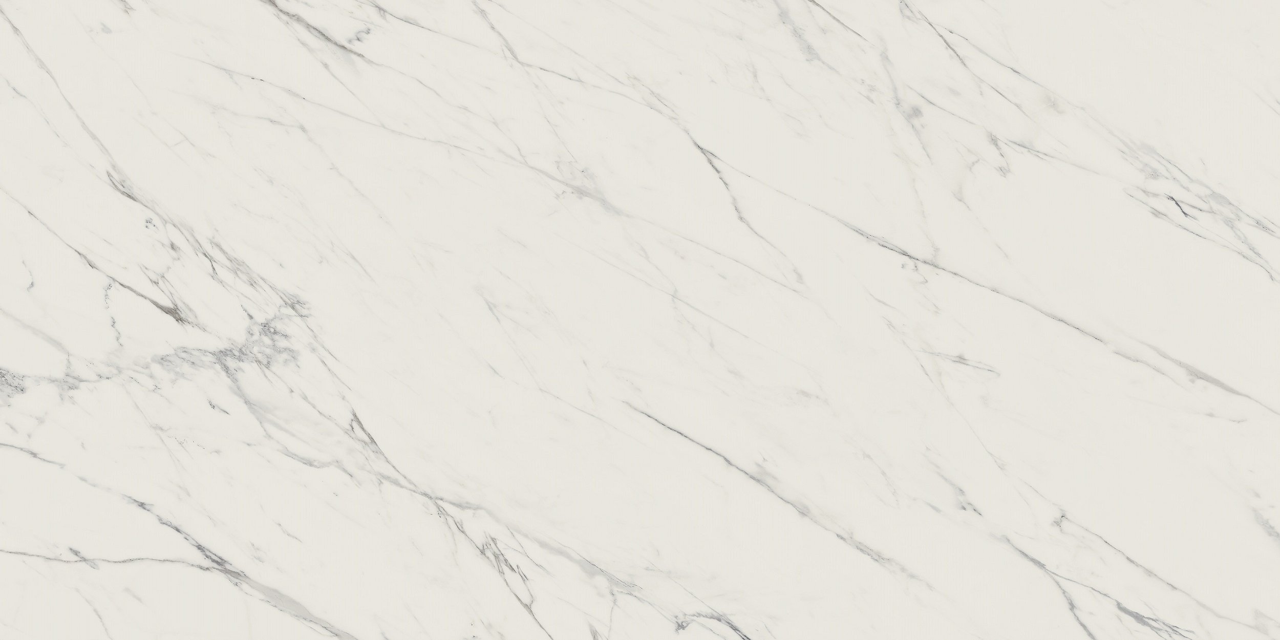 Náhled Elite white rekt. mat. - dlaždice rektifikovaná 59,8x119,8 bílá matná