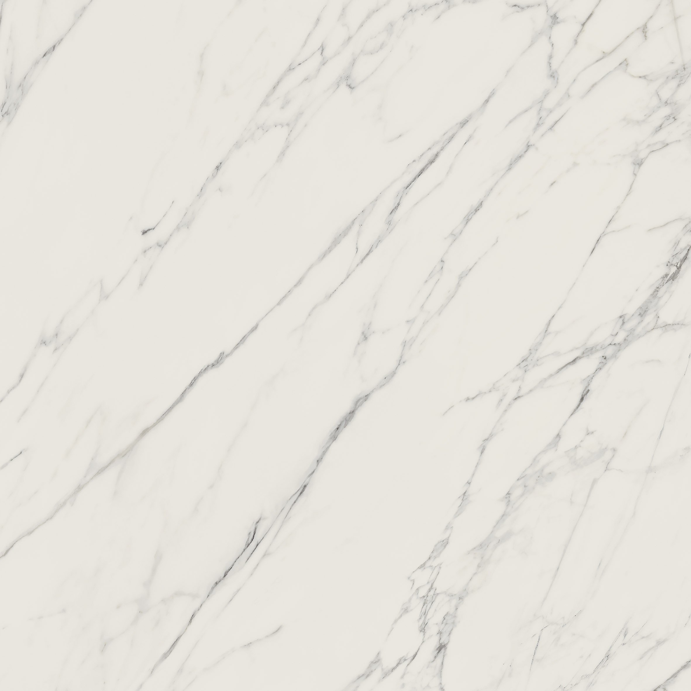 Elite white rekt. mat. - dlaždice rektifikovaná 59,8x59,8 bílá matná