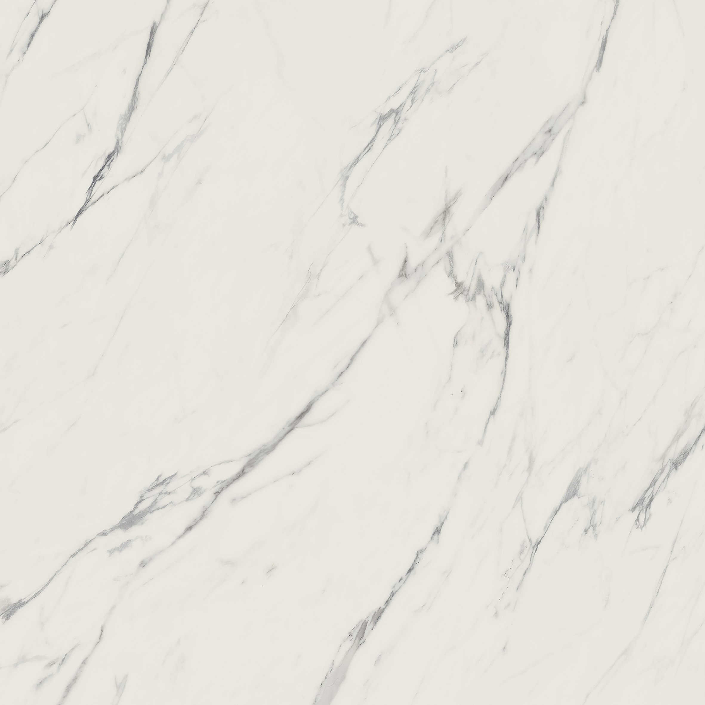 Náhled Elite white rekt. mat. - dlaždice rektifikovaná 59,8x59,8 bílá matná