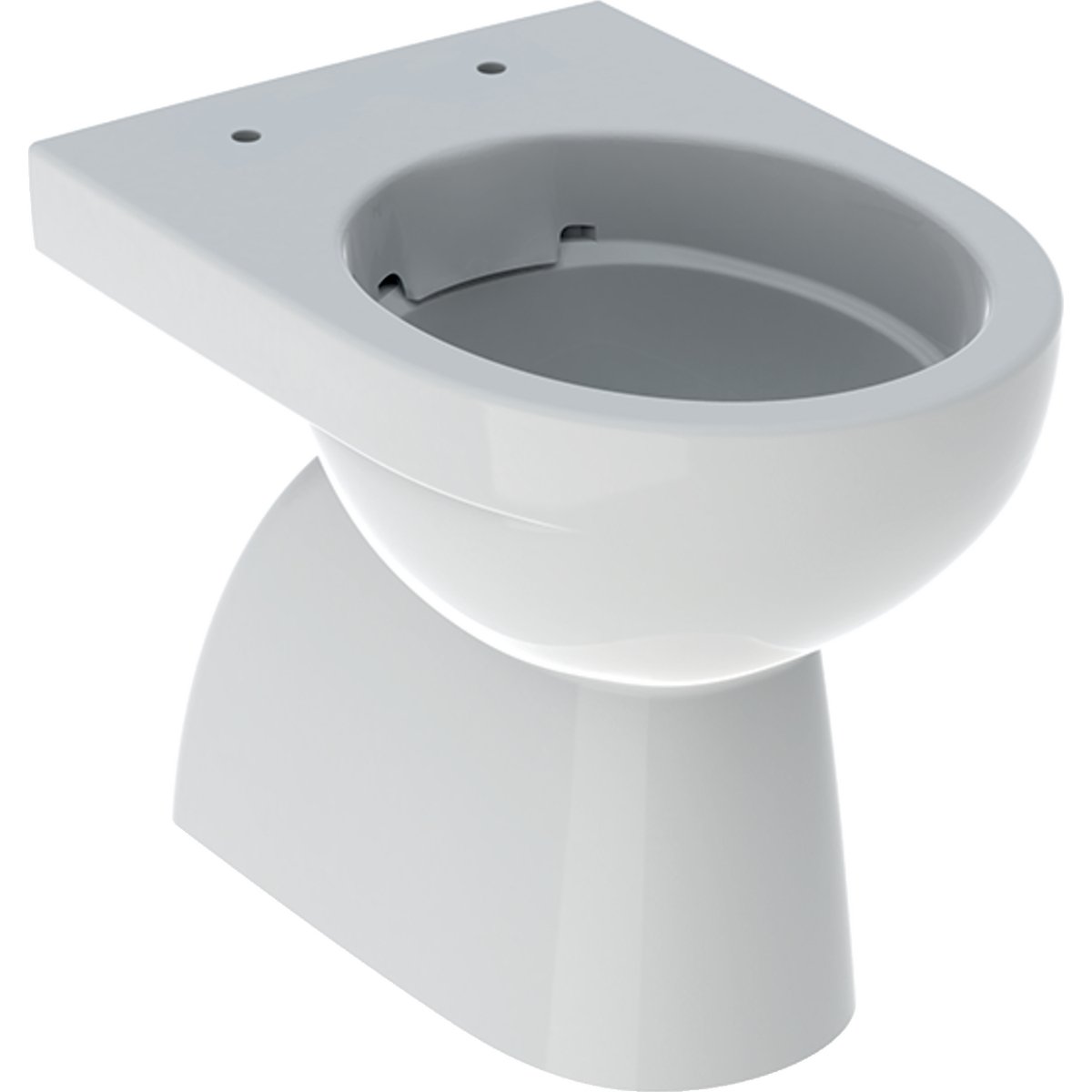 Stojící WC Geberit Selnova s hlubokým splachováním, svislý odpad, Rimfree, bez WC sedátka