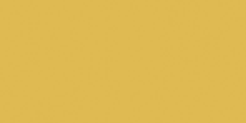 Color One (RAL 0858070) - obkládačka 20x40 žlutá lesklá WAAMB201