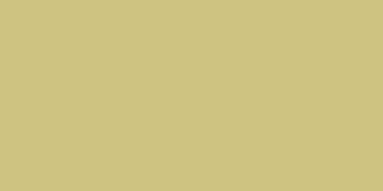 Color One (RAL 0908040) - obkládačka 20x40 žlutá matná WAAMB221
