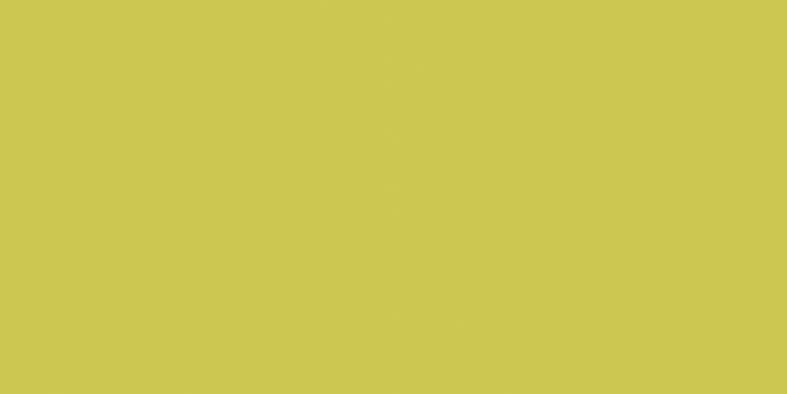 Color One (RAL 0958070) - obkládačka 20x40 žlutozelená matná WAAMB464