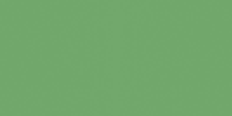 Color One (RAL 1306050) - obkládačka 20x40 zelená matná WAAMB466