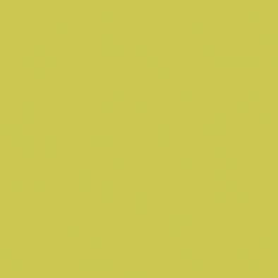 Color One (RAL 0958070) - obkládačka 20x20 žlutozelená matná WAA1N464