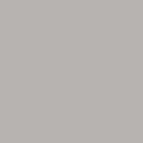 Color One (RAL 0607005) - obkládačka 15x15 šedá lesklá WAA19010