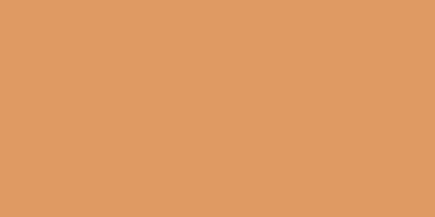 Color Two (RAL 0607050) - dlaždice 10x20 oranžová matná, mrazuvzdorná GAAD8150
