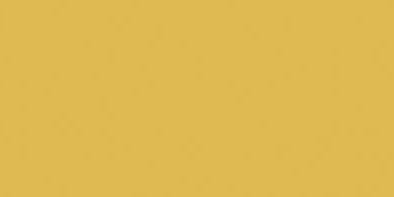 Color Two (RAL 0858070) - dlaždice 10x20 žlutá matná, mrazuvzdorná GAAD8142